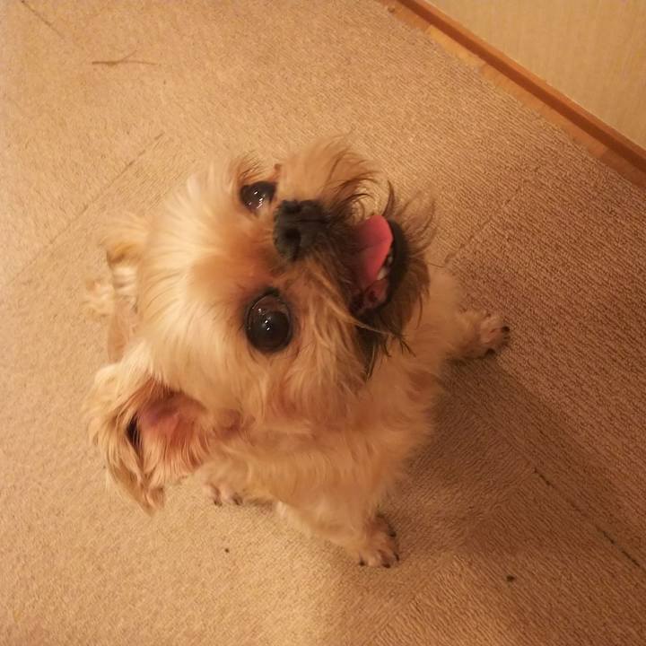 3921808d b532 4c94 a72c b7f8698cfaa8 1538961494201