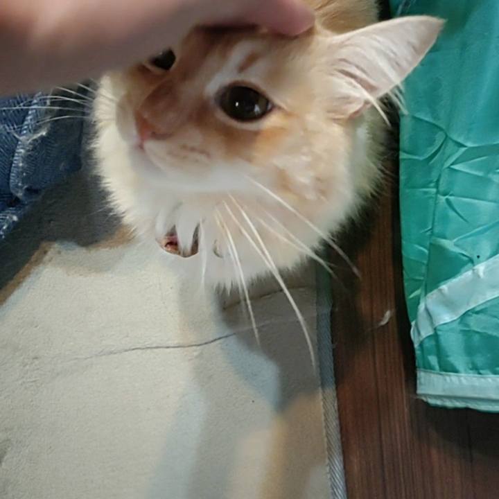 39218e59 c342 4c92 8b76 96f034396a0c 1695592158207