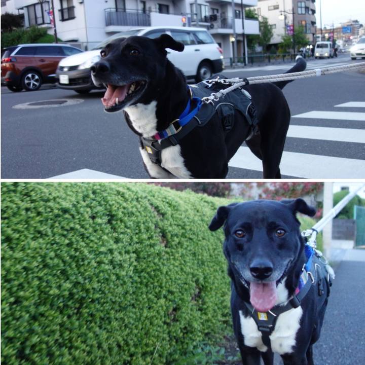 392193f7 49c2 4faf 8202 b56538500b53 1652179136506