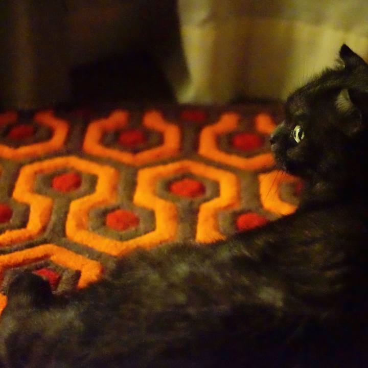 3921afcf e1c8 449e a838 7bf3708c0afe 1560783570738