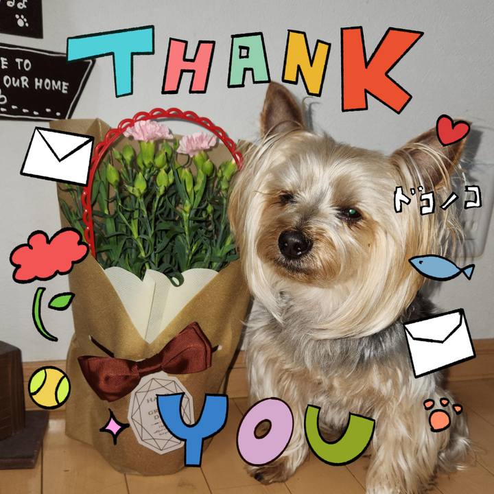 3921bf08 aa57 4320 94a6 381e4d776256 1715472775325