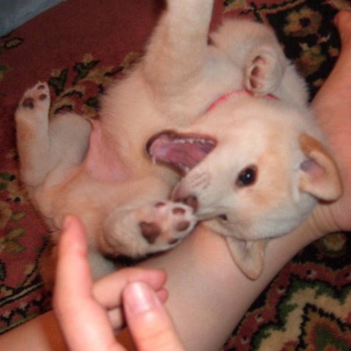 3921d2e4 2f26 4937 8da3 87dfafa111ab 1676396225591