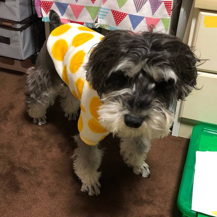 3921e2f1 3790 4fd8 bc5c a75655382bdc 1513478208206