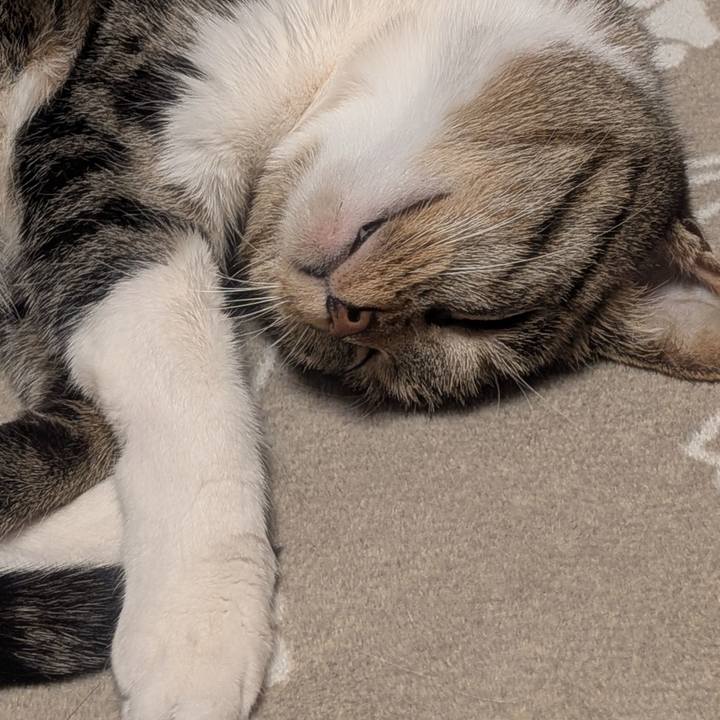 3921fc86 5f86 4f37 bff8 5ce0c49b0a48 1773231697950