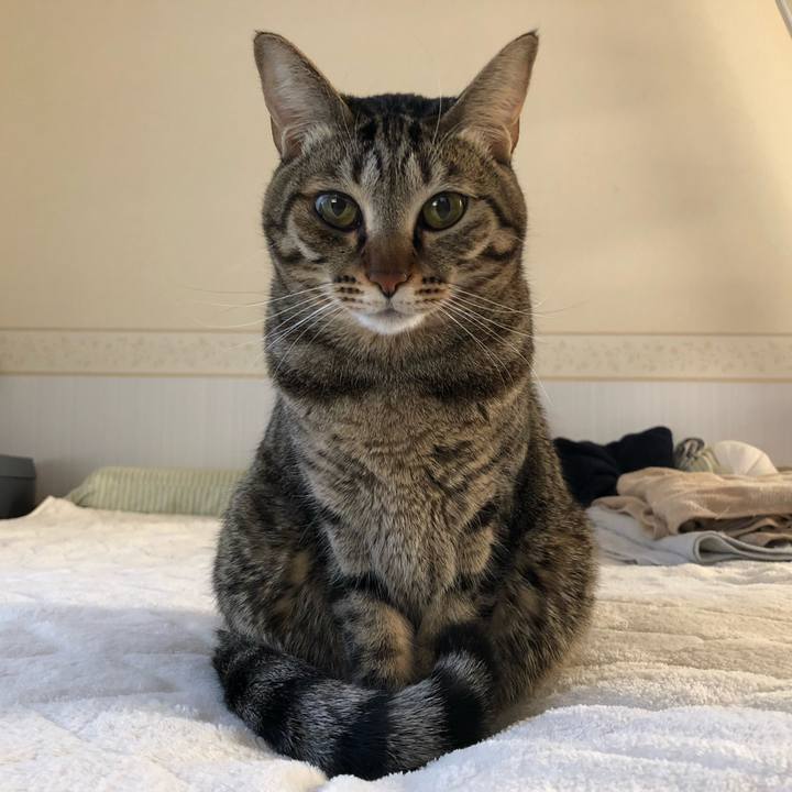 392231a5 f1a1 414c 948a acfde433044d 1547928888473