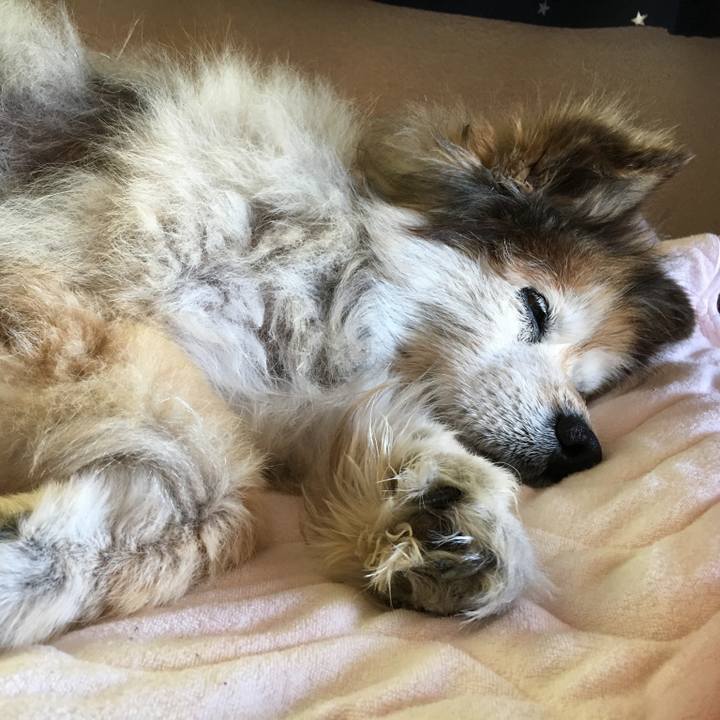 3922345c e338 4604 8bed baefa1bc0f78 1563805994302