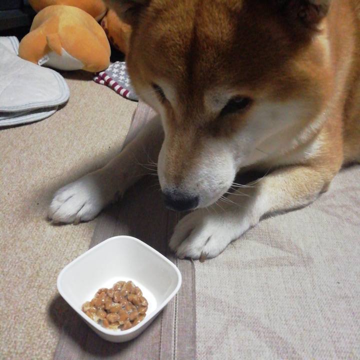 392247e4 8e16 4bc1 a623 5011056b9f31 1602544353506