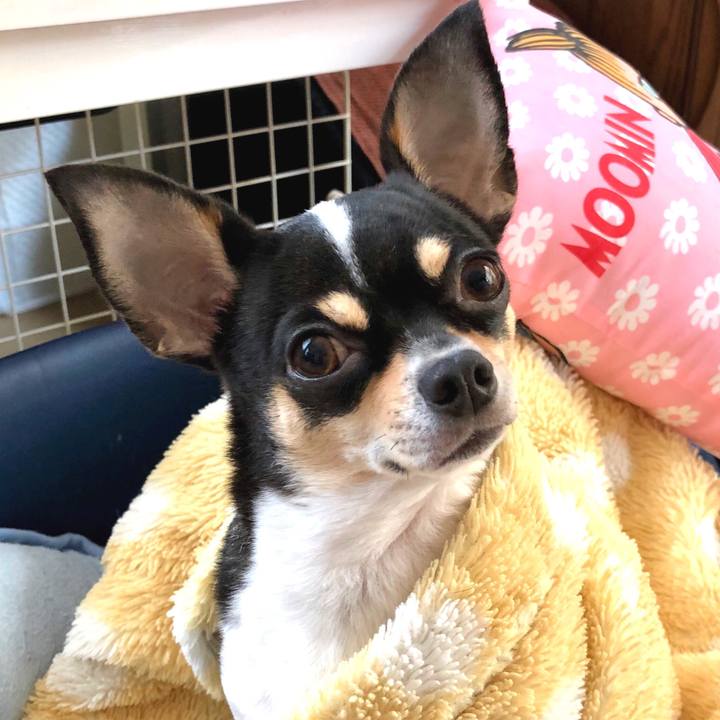 39225cb7 ebb1 48db ba48 30e8f9949886 1509935403773