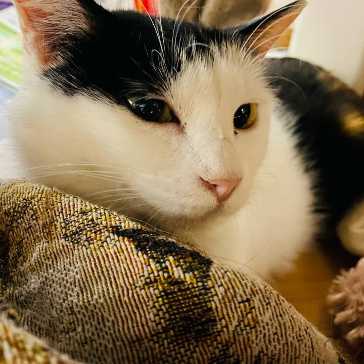 39228001 3e1e 4167 9c33 439038b45367 1656537059071