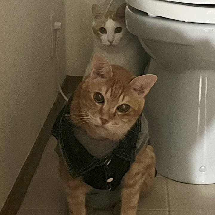 39229b2b e714 445f 82d6 ff26d1bea0e6 1643604949494