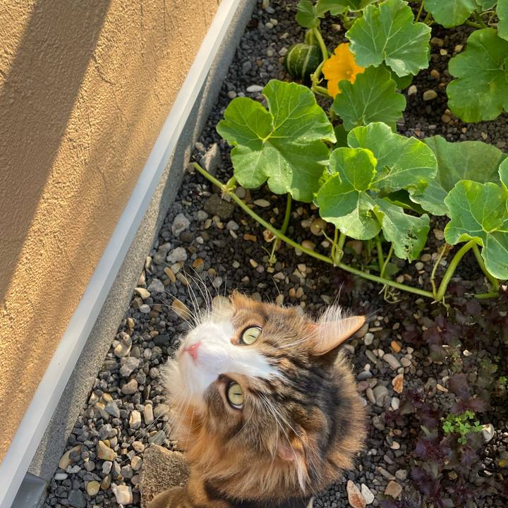 39229ef8 e893 482c ab5e a26ea0ea86e0 1753303726743