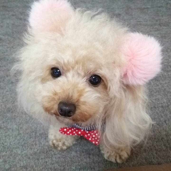 3922a49e 30ee 4fb0 bac2 943545c9c647 1538135270168