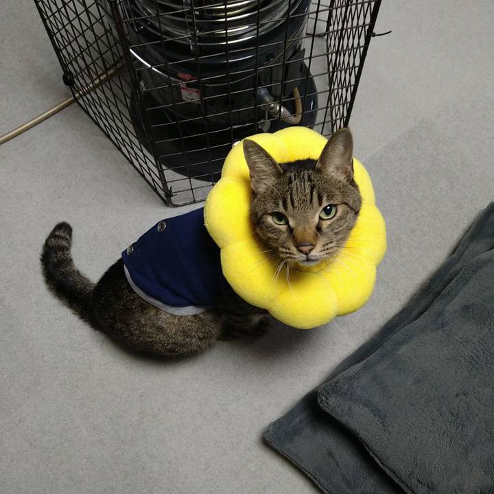 3922d2db 1f9d 4b37 83fe 9eaba5e99e56 1733740946326