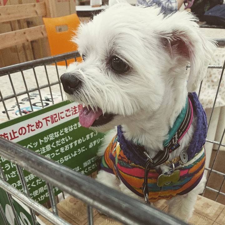 3922db95 cedf 4e93 aafe 0dd2aa1d9cd3 1538980432530