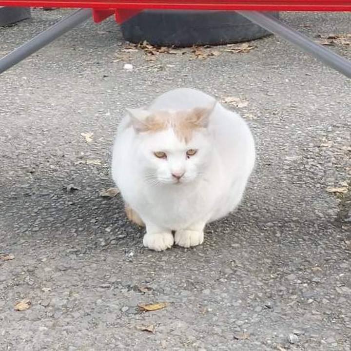 3922f59e 5c33 4c21 ba3c c2cbaac4ba1b 1637020784422