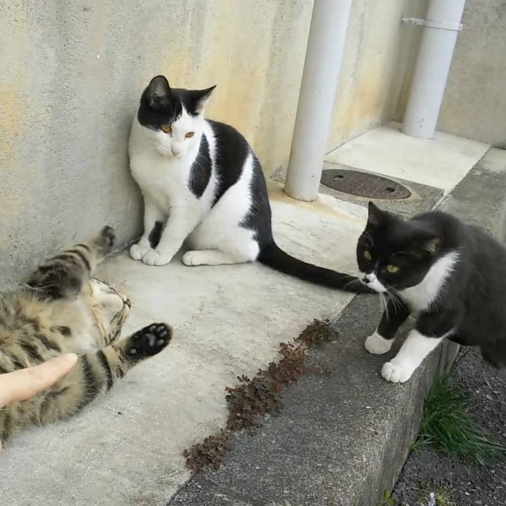 3922f67a 86e1 4a89 a1c2 b935bbafc573 1553677073317