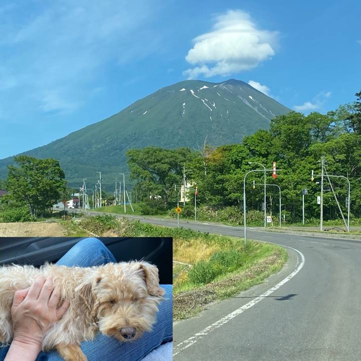 39230f3b 4574 4bd7 a6f5 0eca2e75ad54 1623573816668