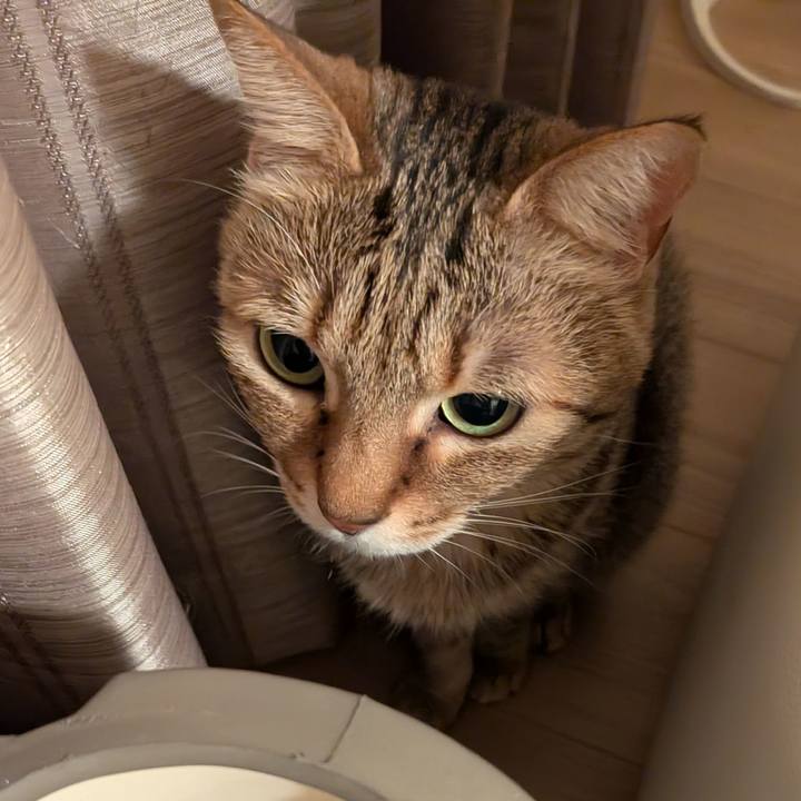 39231362 4ed0 4082 99a0 c84aace8eac8 1774045574564