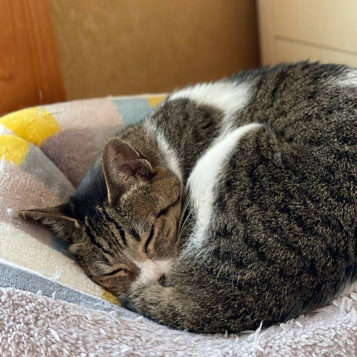 3923230b a56f 448e 9a85 b685b82bd87b 1620353369384