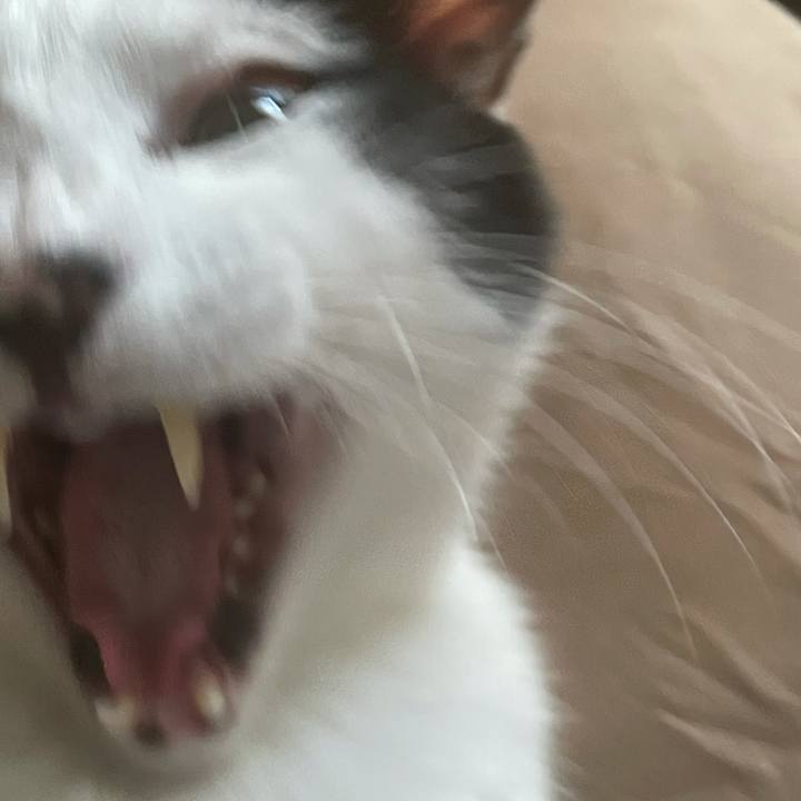 39236813 2c6b 48f0 8226 cfba0a02bce3 1623898435195