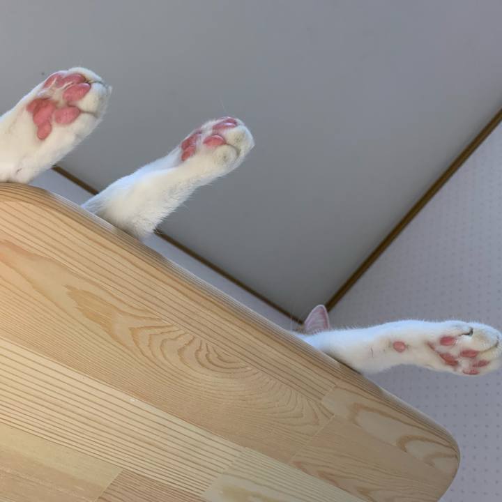 392370d3 61ae 43d5 a521 e2793f8bf723 1636666066143