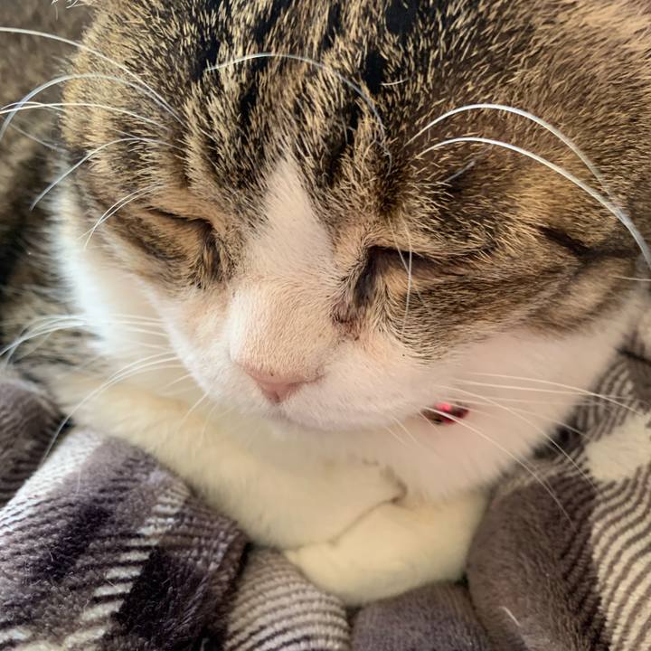 39238c93 79a8 40ef 8aa2 b62908d91913 1739402983428