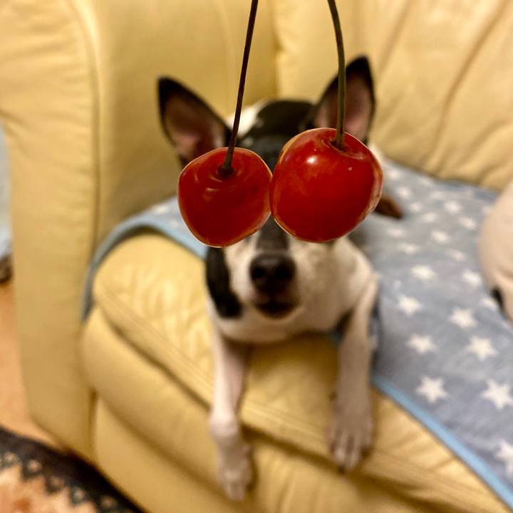 3923b4d3 433b 406c a85c c9a2e0058d8c 1592911289258