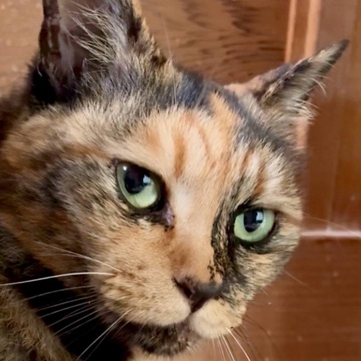 3923be6f 35fb 4202 841b d3df5d1b8425 1750732241106