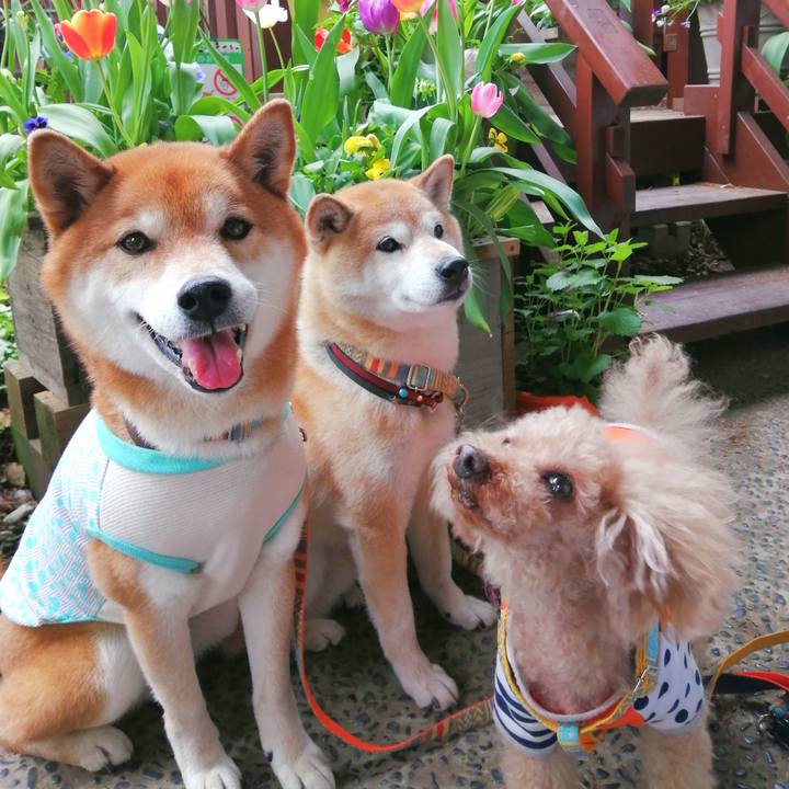 3923c57e b24d 4f65 a563 3e888c15b6af 1681458215573