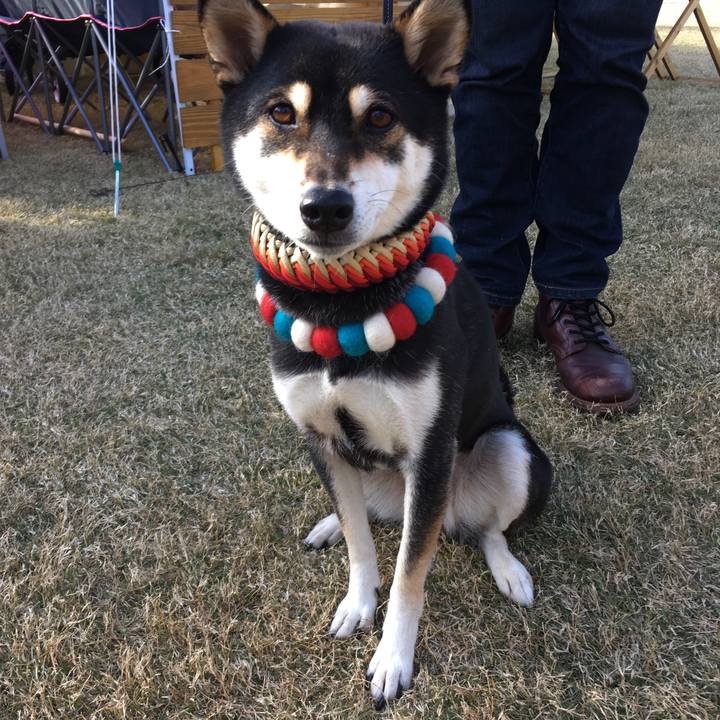 392410b4 406b 4300 bacb 097f0265e450 1575256220967