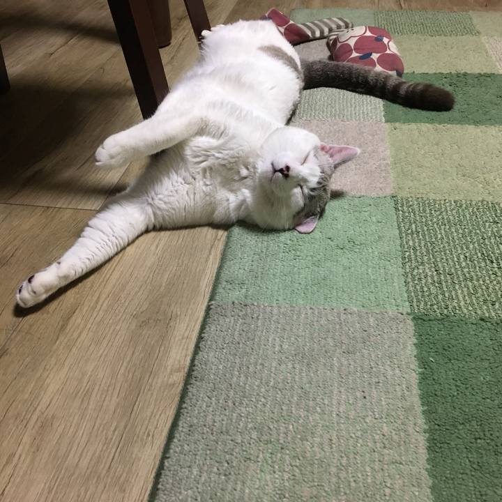 3924f542 f4c7 4727 b447 d4d947480459 1547298531863