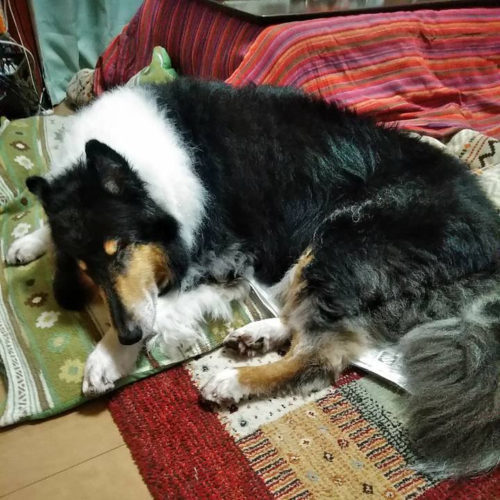 39250738 fe13 4282 bca8 ff39ef7bf437 1508156932584