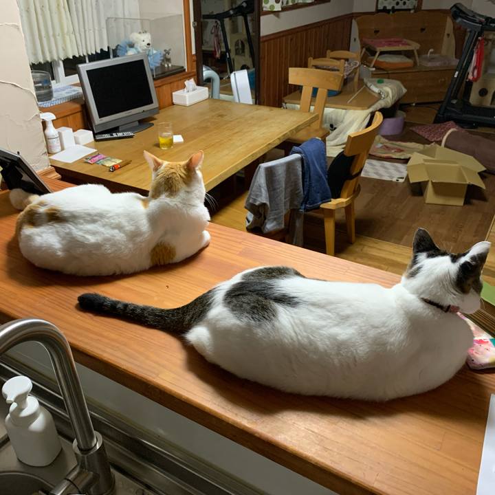 39253d86 5ba4 4d52 a3c1 d3008d8271aa 1633959007780