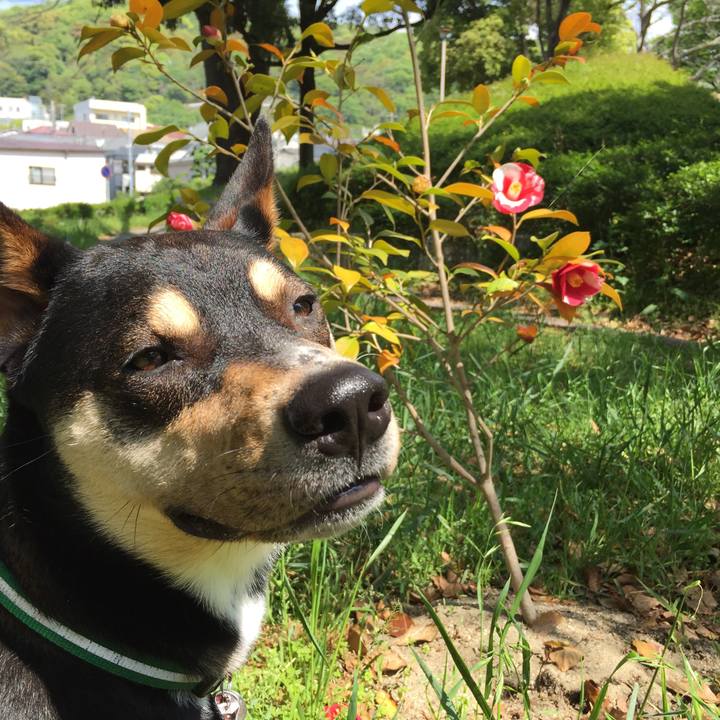 39254425 bf98 4a82 8b2c 51177afc2dc4 1524723600910