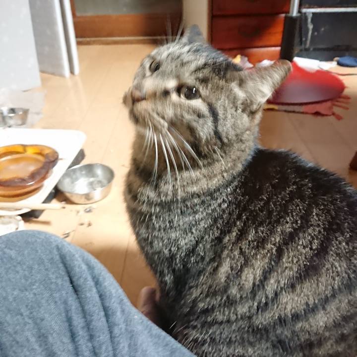 39254820 0729 4b43 acca 1da9cf18675a 1638045433012