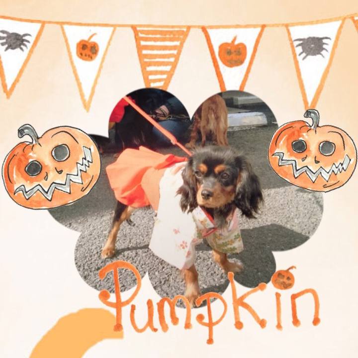 392586d3 c4c5 414d 9645 fe13ae9ea255 1508482523196