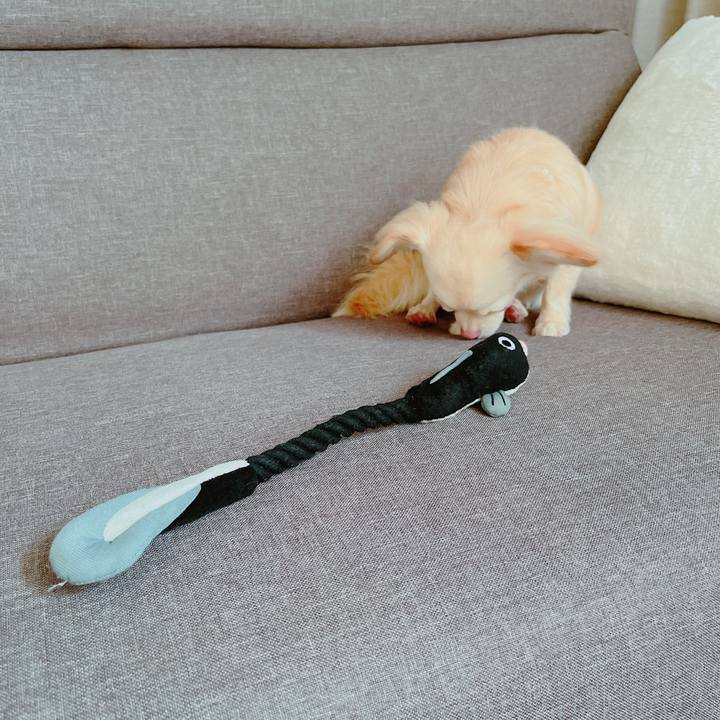 3925b296 c958 47bf a2cc 77c4048ac8d2 1655709704293