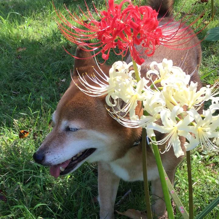 3925bbe5 9712 4892 86d1 6ee66f452ad1 1569561386070