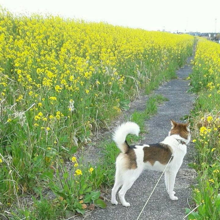 3925be6f 3fa8 4bed b273 bc8485d26a0a 1588662853873