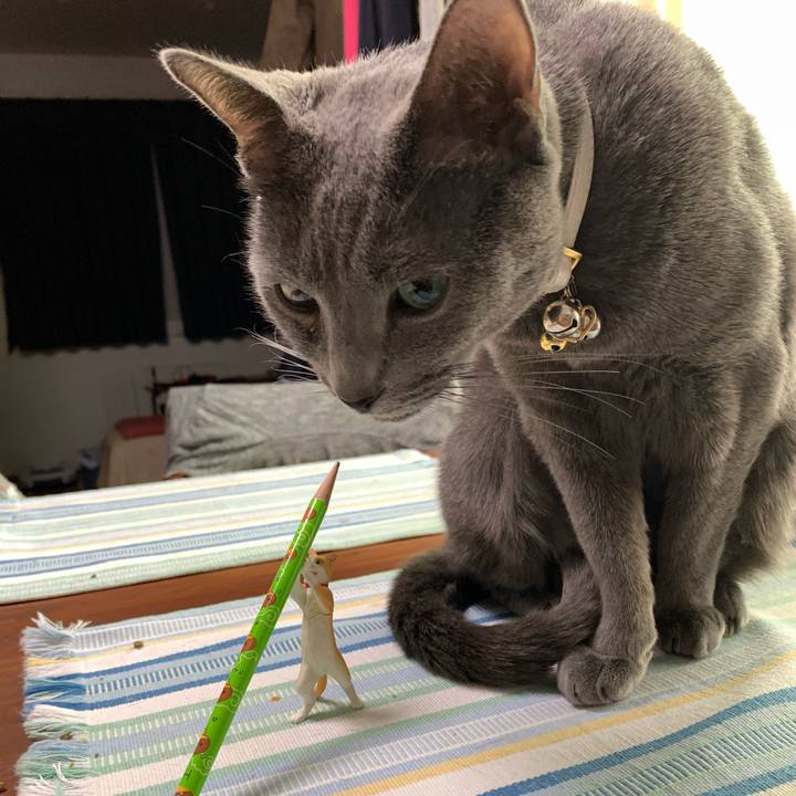 3925c545 5171 4e75 af1a 2b55577f2ba4 1646197236766