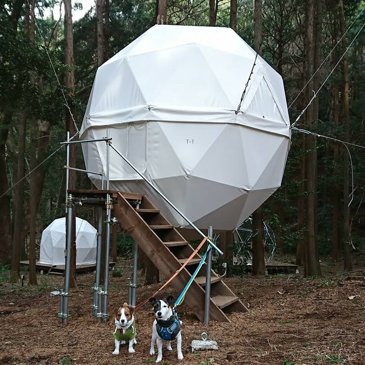 3925d1eb b087 4826 be7e b44142818a11 1517115471518