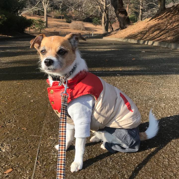 3925d65d 8cd3 4d4c b579 391bc26714a6 1516496709147