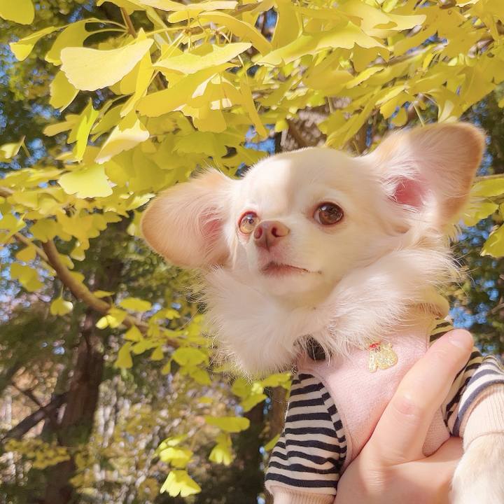 392605a6 7afe 46a0 9f93 3e959158bd9b 1732332080908