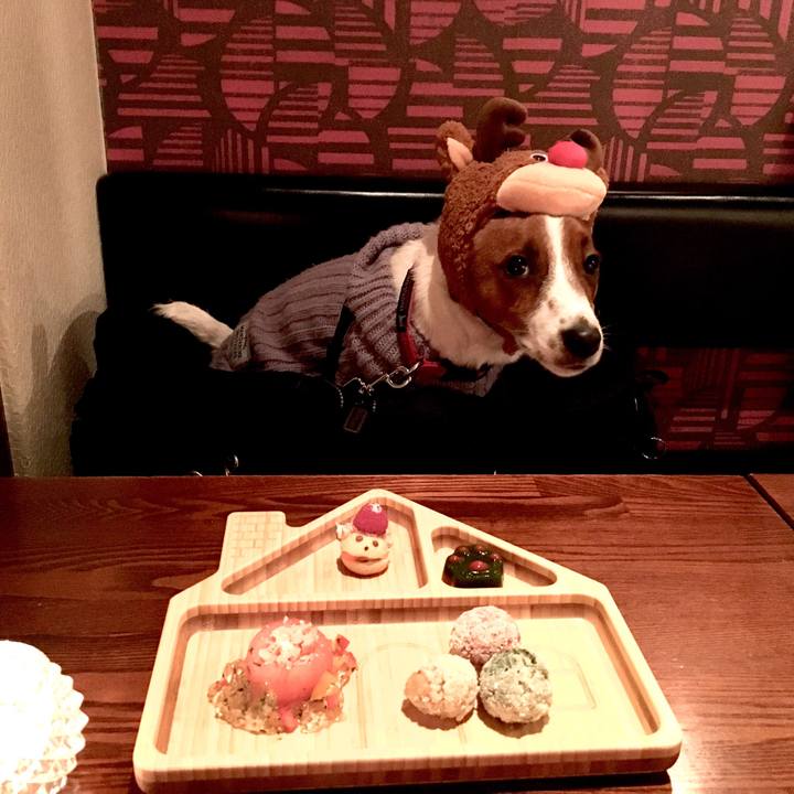 39261377 d558 48fc b612 840970244791 1514211968702