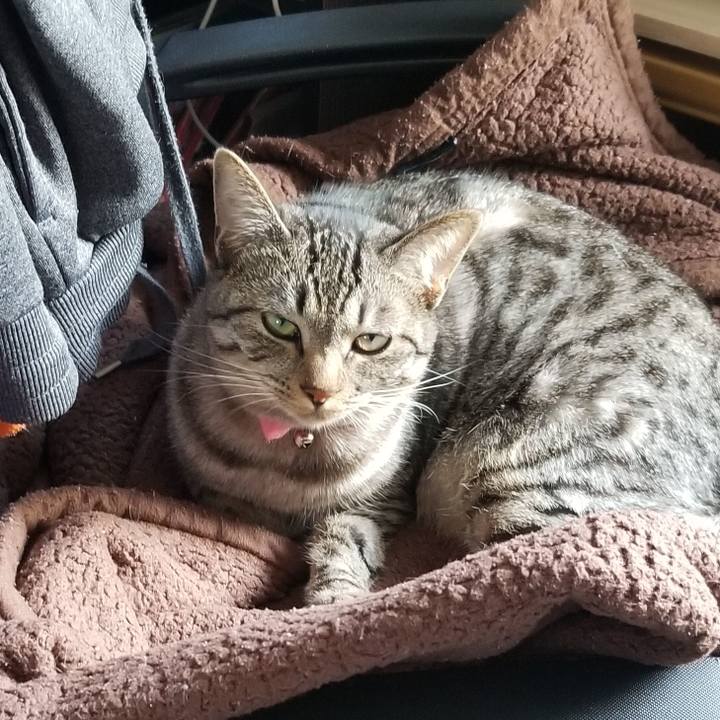 39268f35 a507 45be b37f 1fc470f0f061 1687184415338