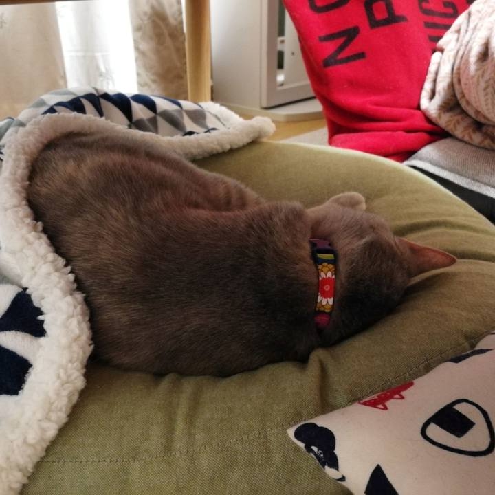 39269301 cede 438b a371 84f6831c7a23 1552658121688