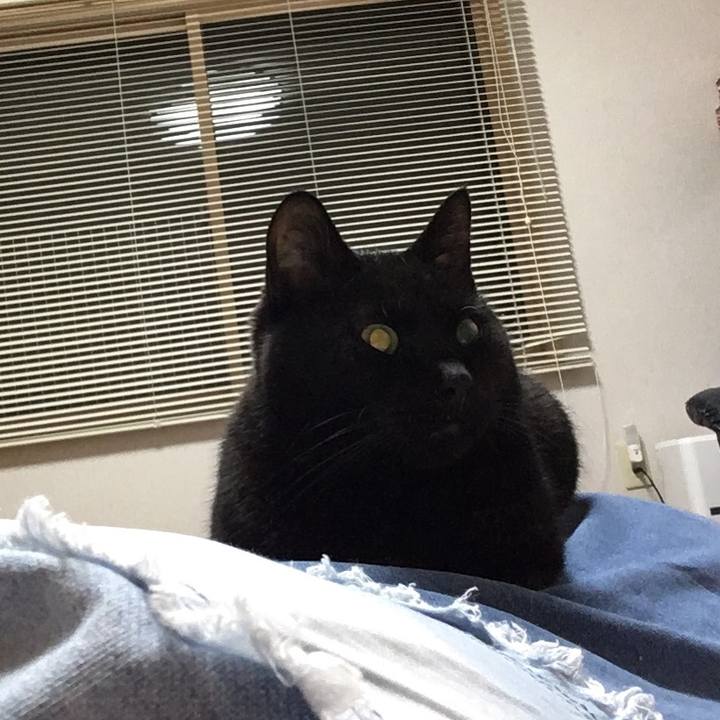 3926a8f1 5f36 49a6 b288 e8f0abdbc3a3 1546262860519