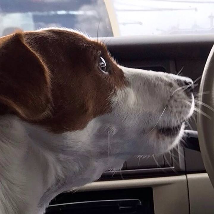 3926bb39 705b 4425 9d7c 5485980861ec 1517818477551