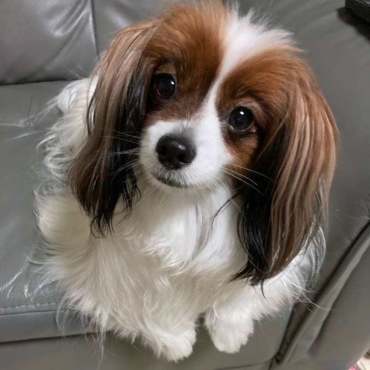 39275d90 9555 481a 8cef 418345f4c02a 1653180180142