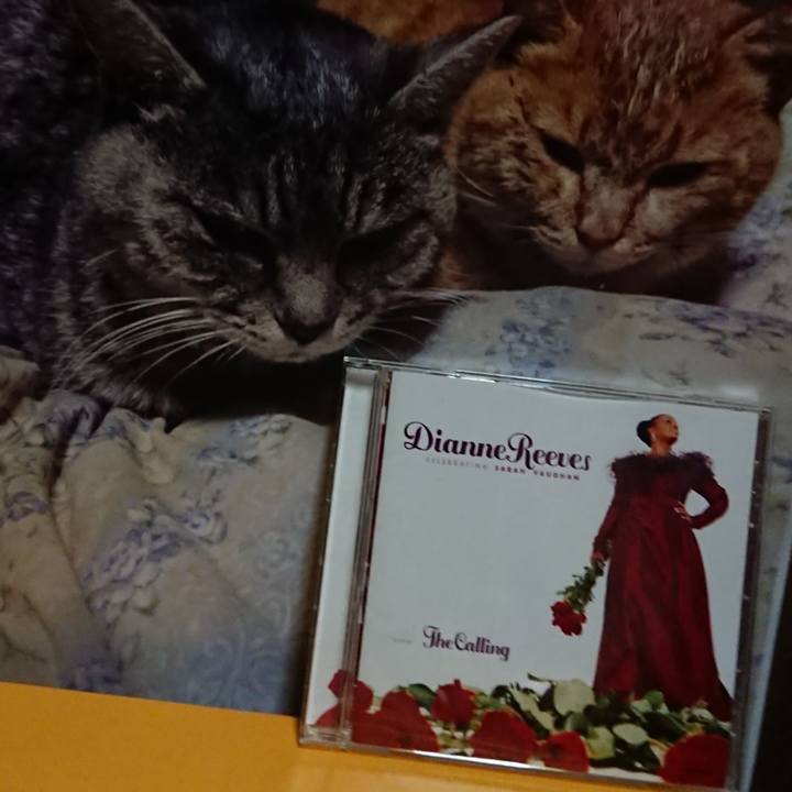 39278d2a 2567 4677 86c3 4799b22540a1 1619263219135